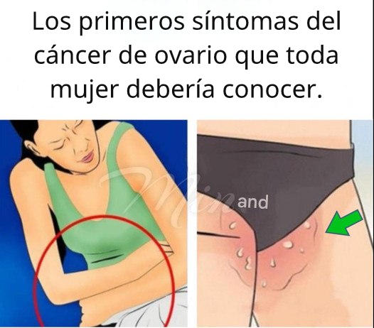 Image703436d8 70a0 4046 bd73 8319fc7934b8