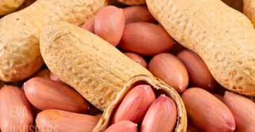 Locate 2026 02 14T143658.979