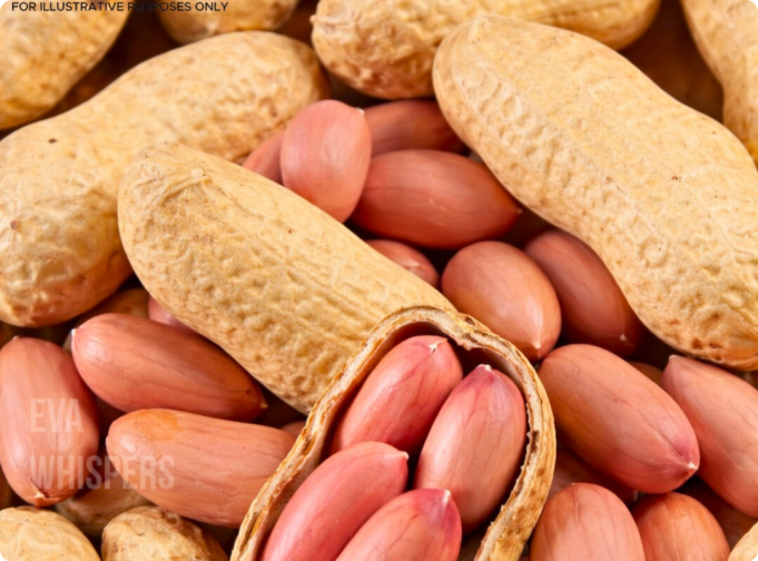 Locate 2026 02 14T143658.979