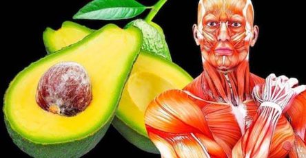 1. Beneficios del aguacate