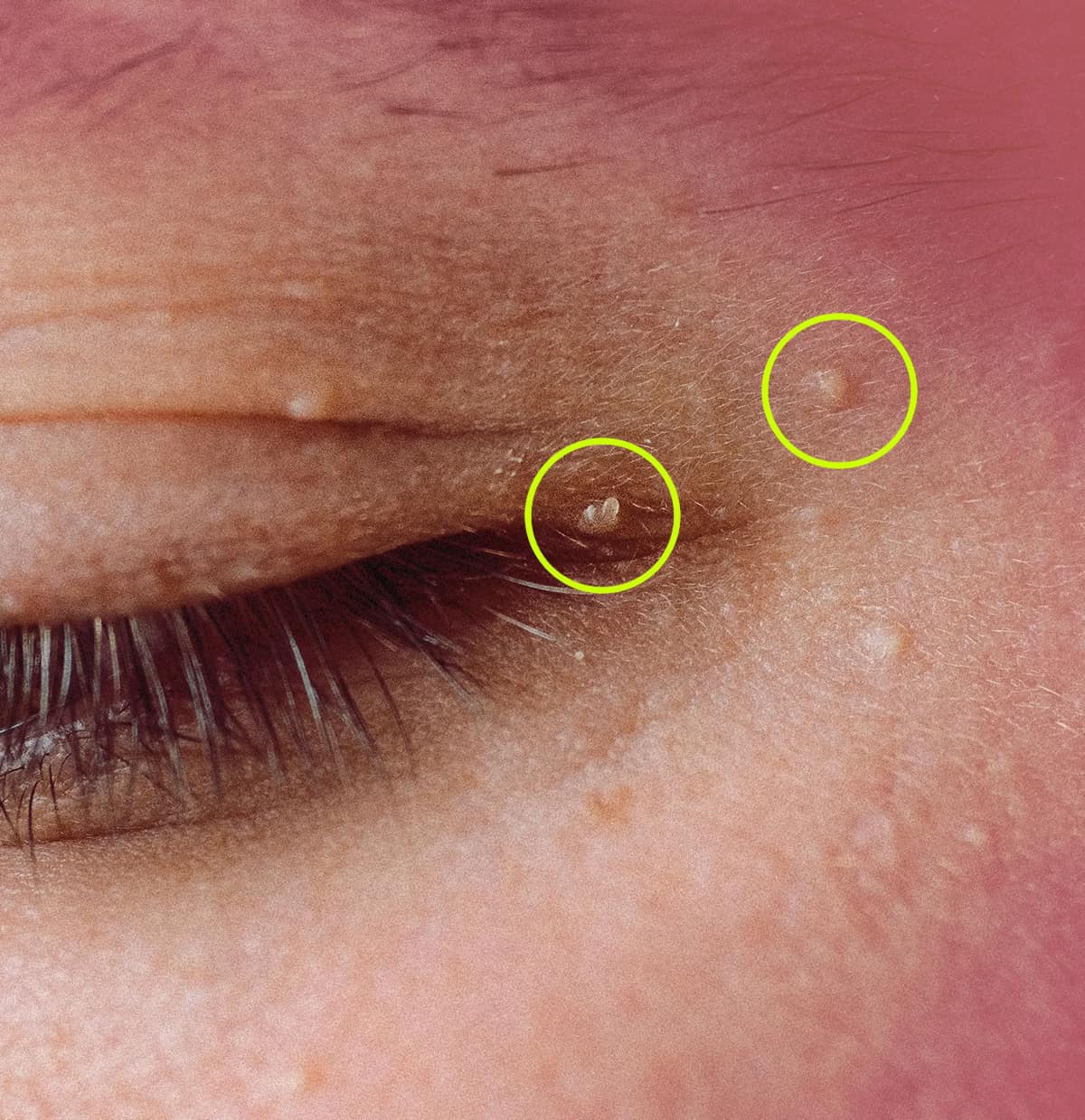 554964643 2032317564205752 8711923400030815527 n