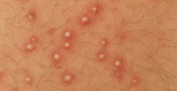 558318227 1384200403270622 590103703129637498 n