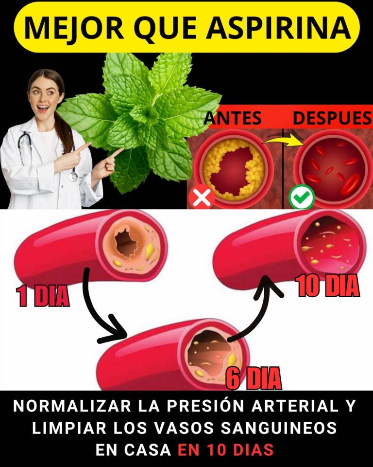 600344935 122144911520943773 3139514503732773060 n 768x960