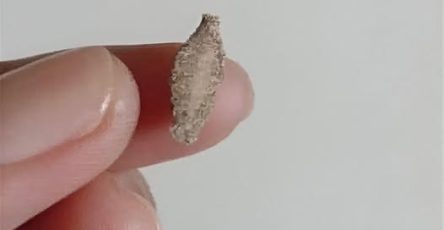 602929276 909256394860272 4494743786881578638 n