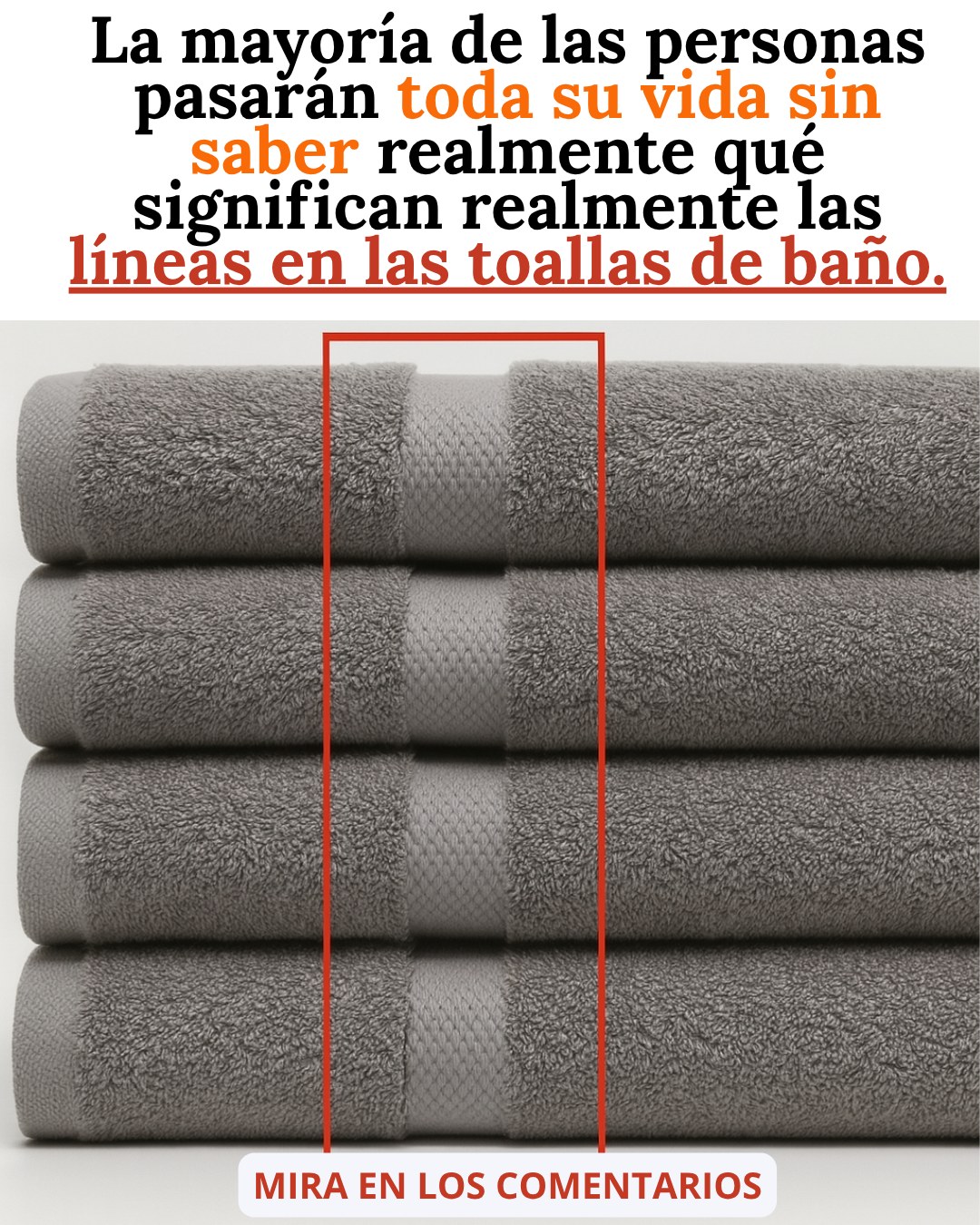 611232407 1379543847551371 99293478497537379 n