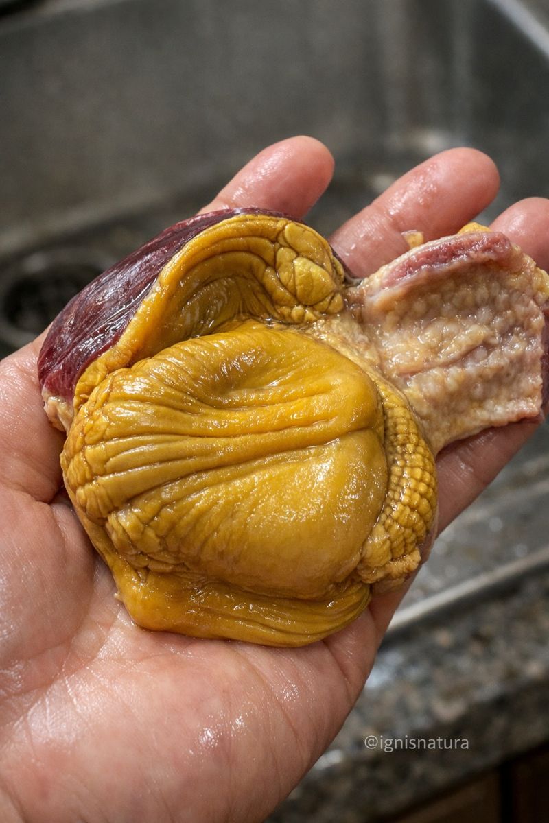 612040709 1463624288661566 2058081133308695817 n