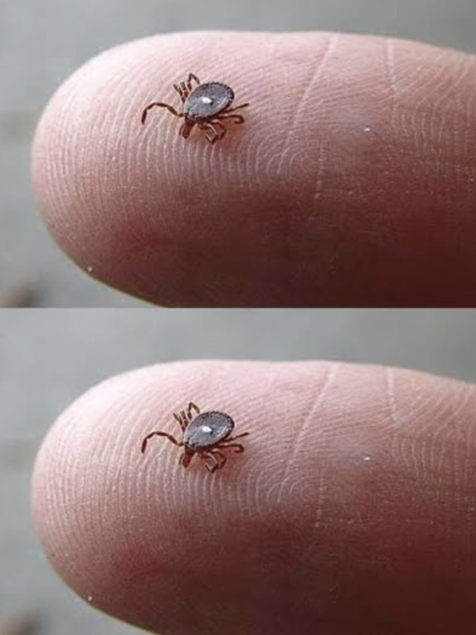 622712229 1466983895432639 6467598281635849720 n