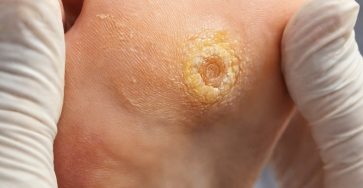 628009401 122279704628193131 7087318327416122902 n