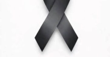 629182589 911208958068633 2116159762920718412 n