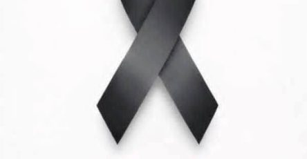 629182589 911208958068633 2116159762920718412 n