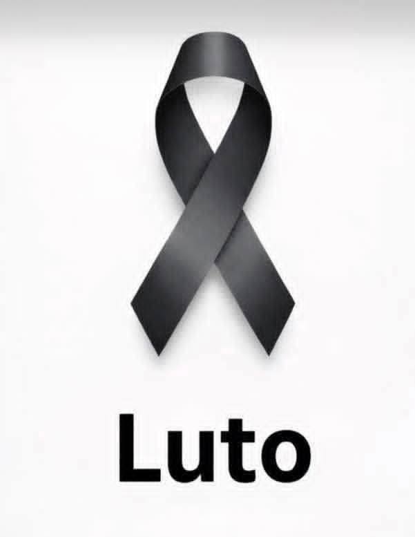 629182589 911208958068633 2116159762920718412 n