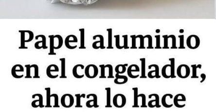 630874077 967897622495651 1485693170560920581 n