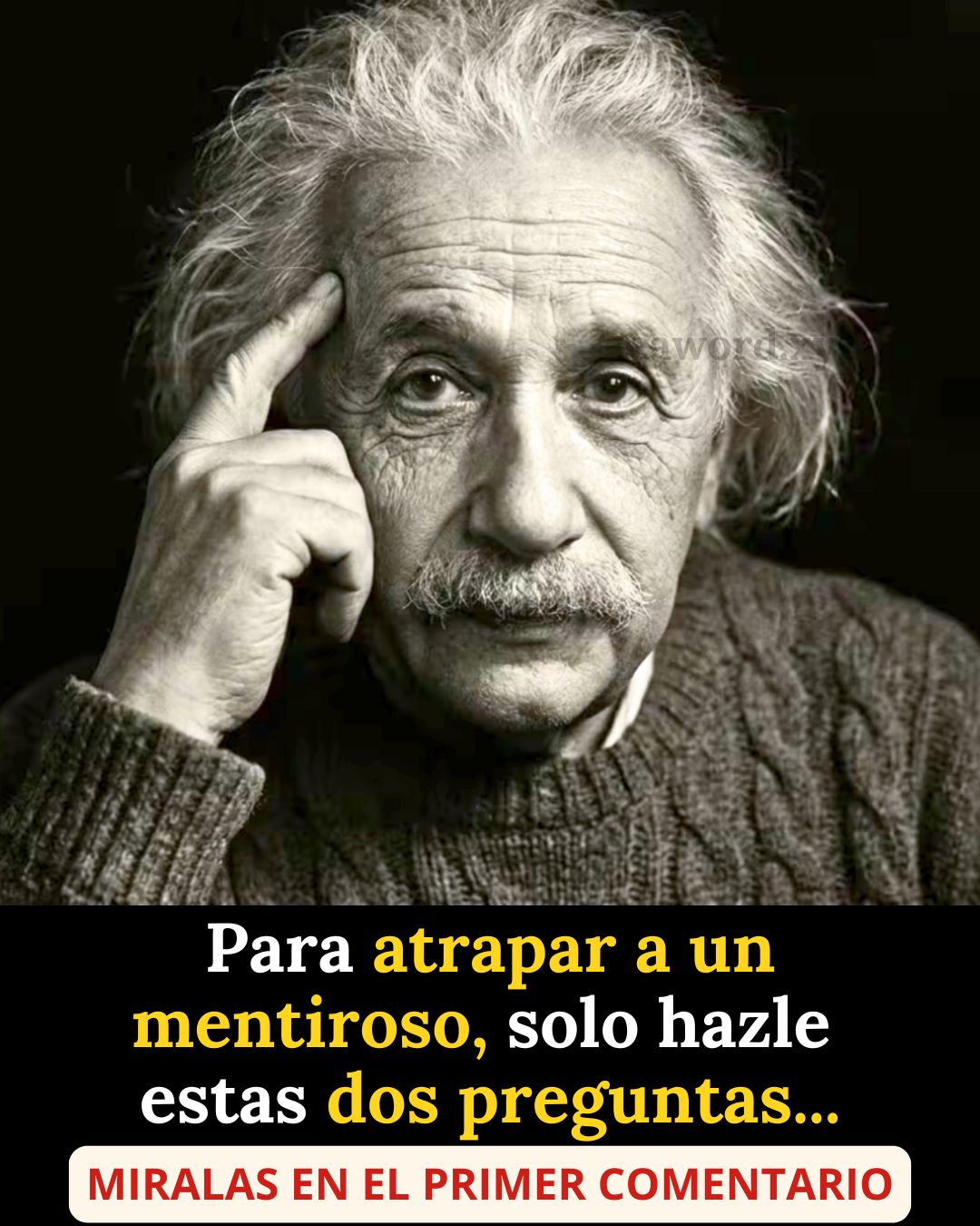 656173335 1496537082041829 6121383628040848082 n