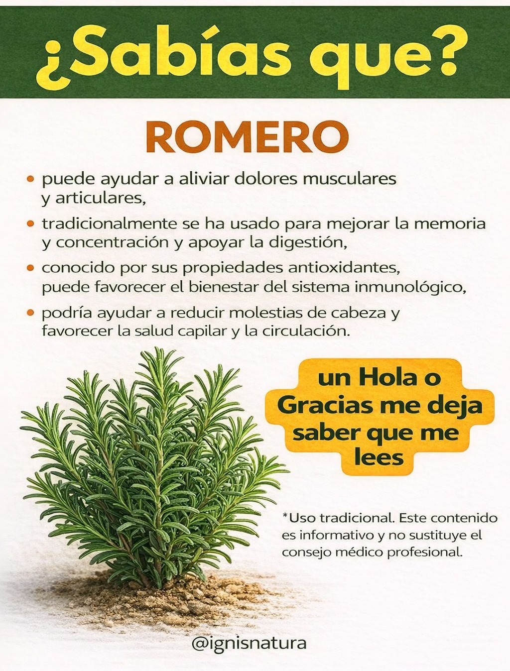 657175918 1526192222404772 1298067305201323468 n