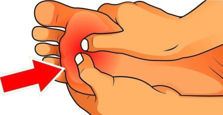 659002596 1373715844522150 1577627824762681810 n