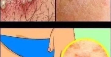 659590986 949801084209420 674184191016481518 n