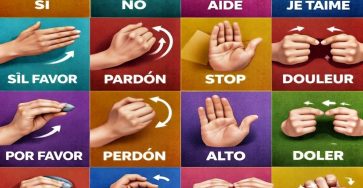 659811307 1504404037713523 1071346554158626452 n