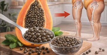 660794148 952146577308204 1622781085855929673 n