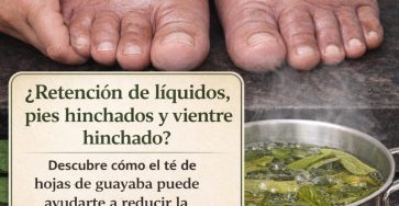 662011000 1515564926796878 5191920787757543479 n