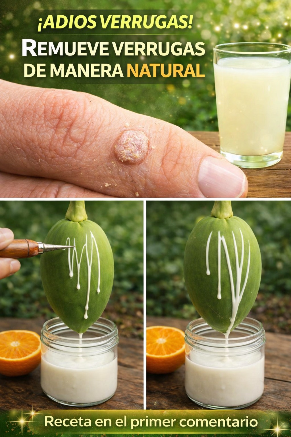 662554337 1743756740540174 4992186967596000856 n