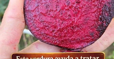 662599866 1519057613114276 3332493534495898205 n