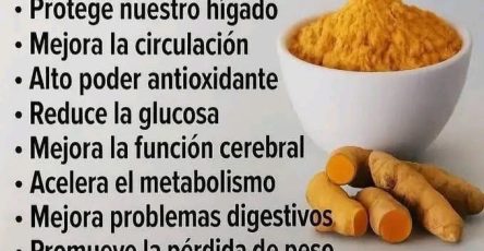 663103537 1503072678280406 4153144833093629574 n