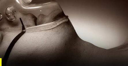 663449422 2148097412617327 8203076810391457145 n