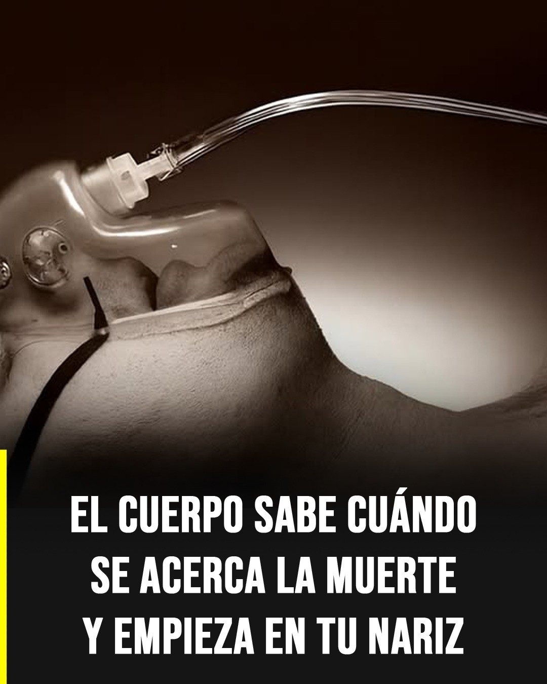 663449422 2148097412617327 8203076810391457145 n