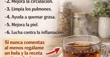 666111561 1503489161572091 2655998260232111012 n