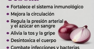 666442728 1503398878247786 2711349202144240180 n