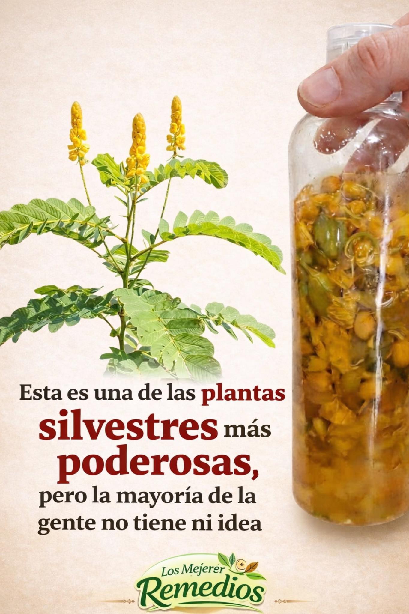 666483291 1517743156579055 4499729790198244612 n