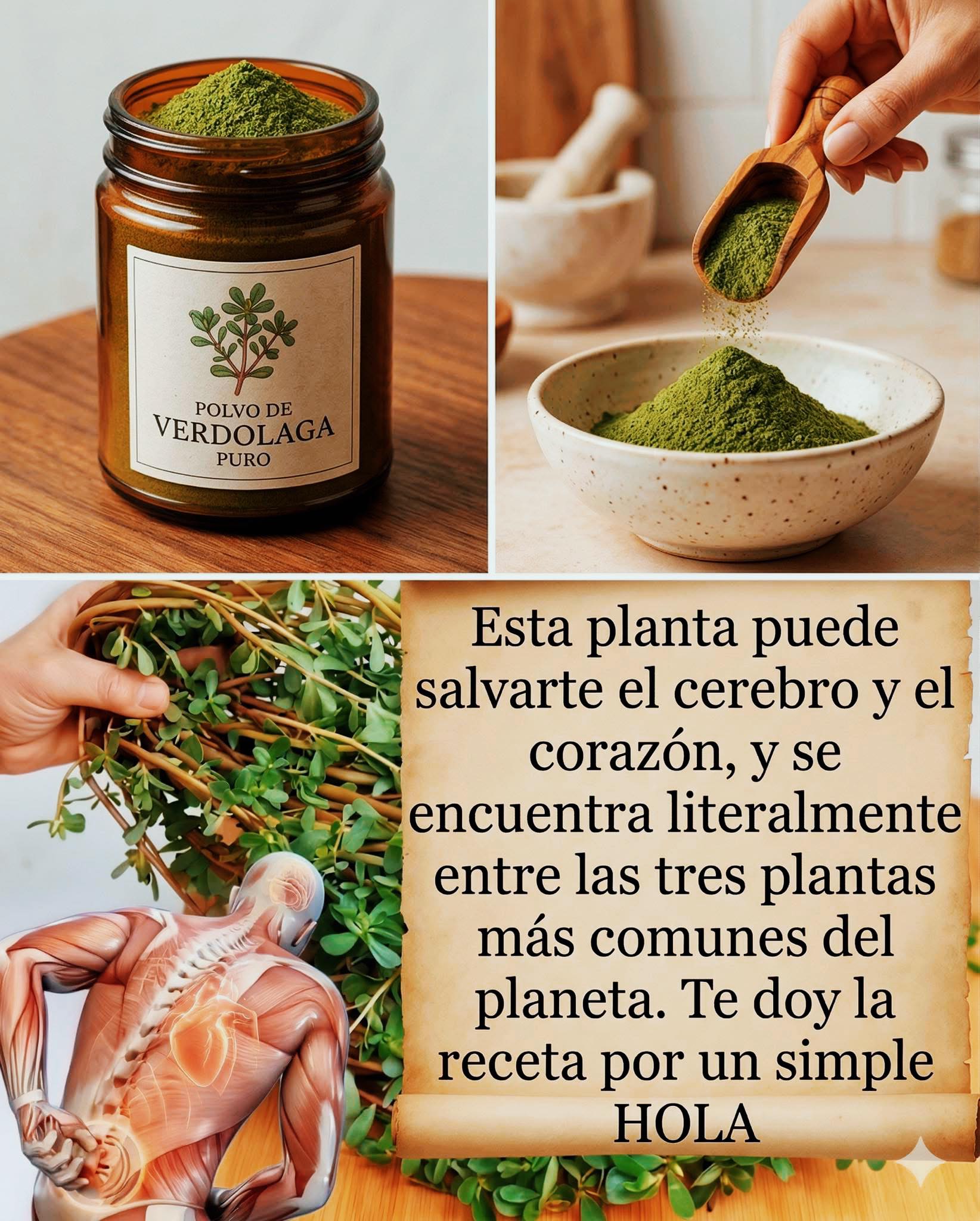 666644082 1517635313256506 4976829336318900192 n