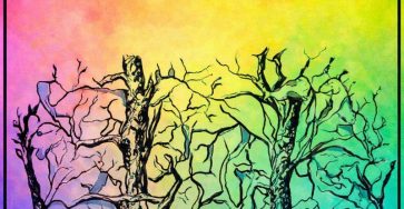 666733605 1537025027988158 6992712868073613161 n