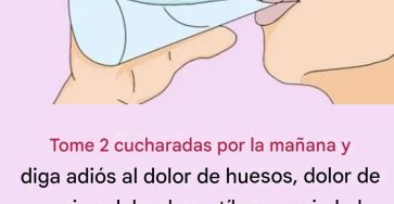 666828757 1488265549558646 8933040165205599117 n