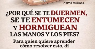 666896708 1517751119911592 2888319409736910465 n