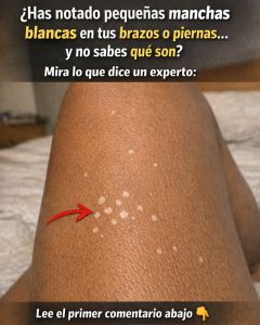 667341302 122160559556973955 4346970137812685941 n