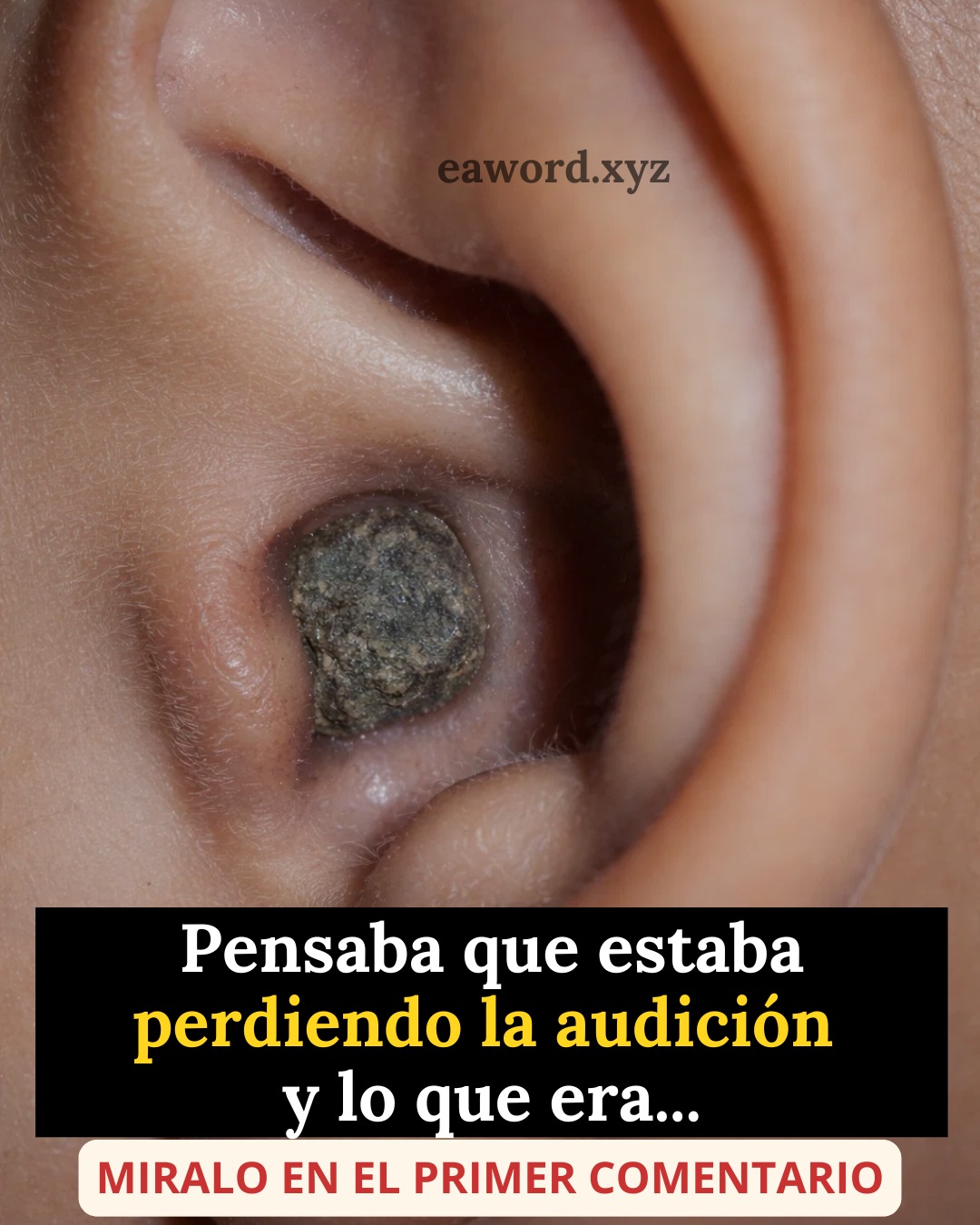 668431975 1511170370578500 4948859799450719621 n