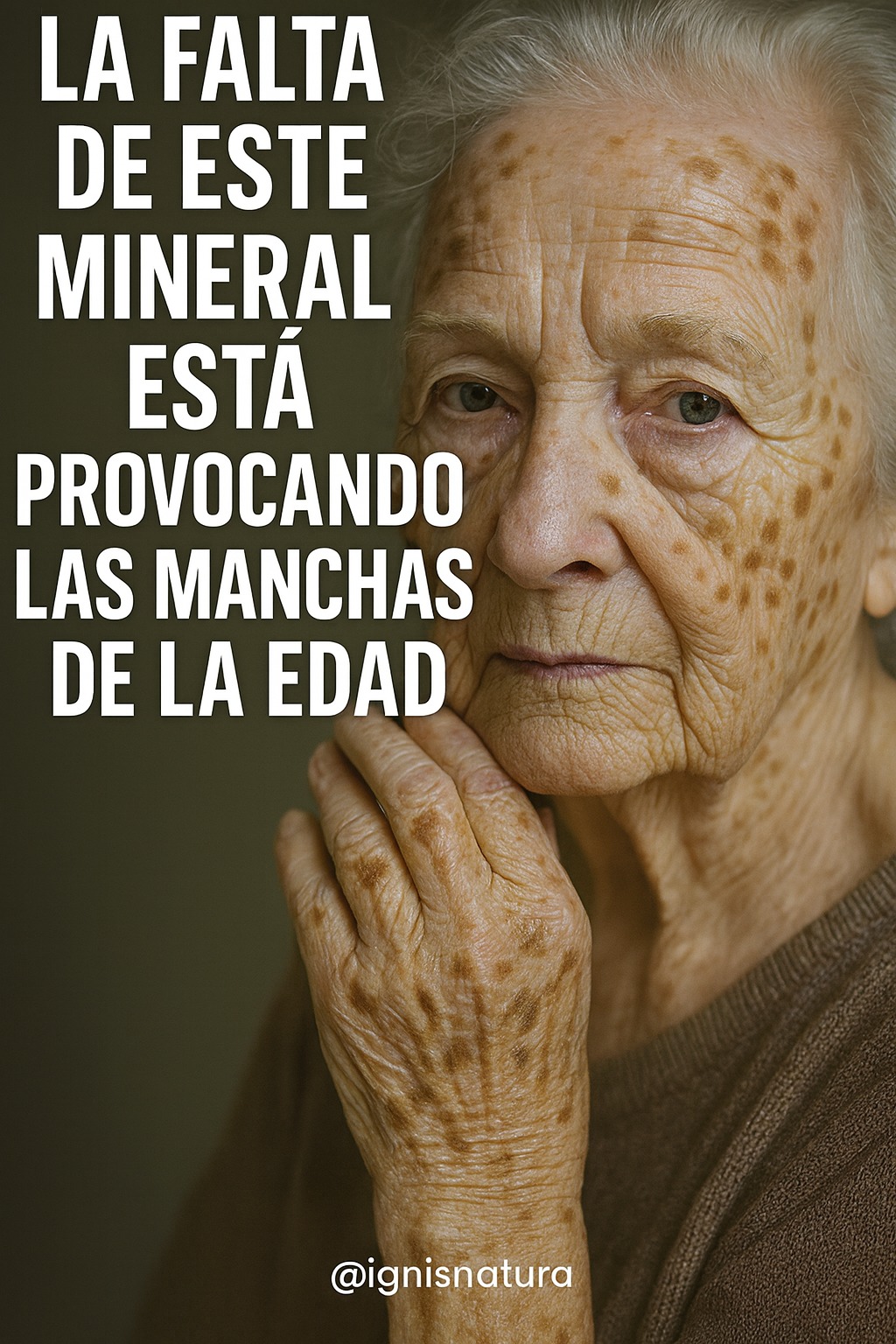 668508916 1538393701184624 6320789154969944537 n