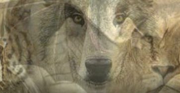 668581156 1533831281433492 2399211525644176185 n