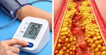 668633211 122288380664193131 1766629960731421430 n