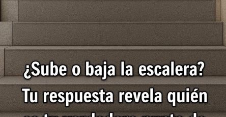 669052254 1541696584187669 8221924421865398913 n