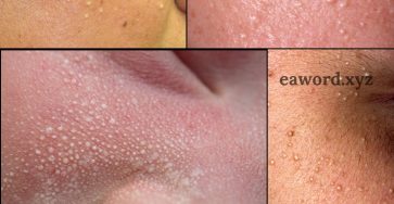 669063623 1511910807171123 5545156778850492804 n