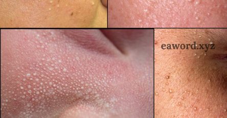 669063623 1511910807171123 5545156778850492804 n