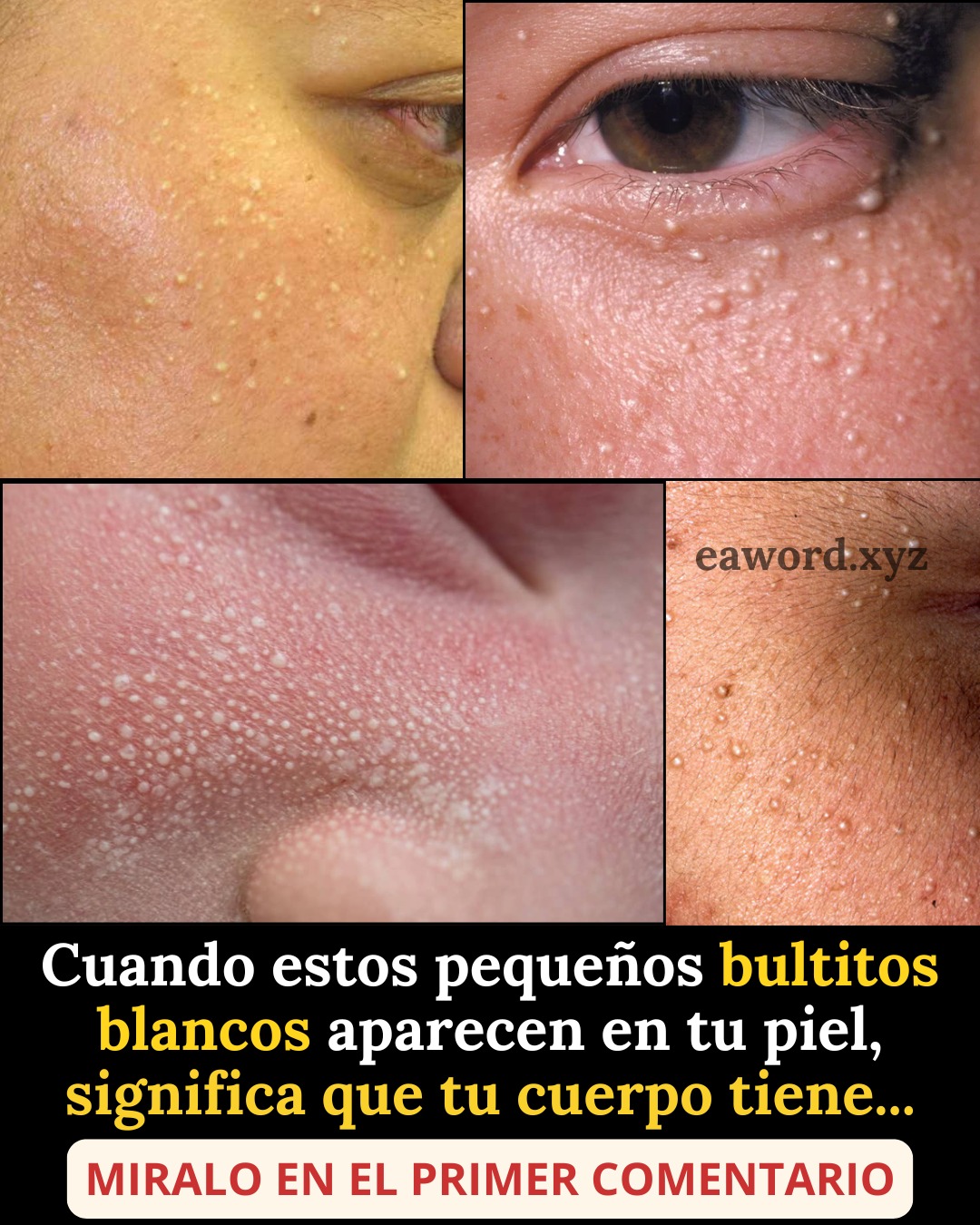 669063623 1511910807171123 5545156778850492804 n