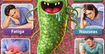 669435742 1538448781179116 7699607269547287696 n