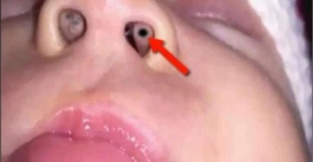 669622822 1965444230876109 1068264192745501014 n