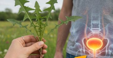 669938460 122163763292943773 4121307237239682943 n