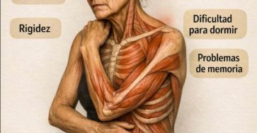 670433415 1541698824187445 7376379200796555913 n