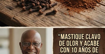 671474780 122163934778943773 2582931555555448368 n