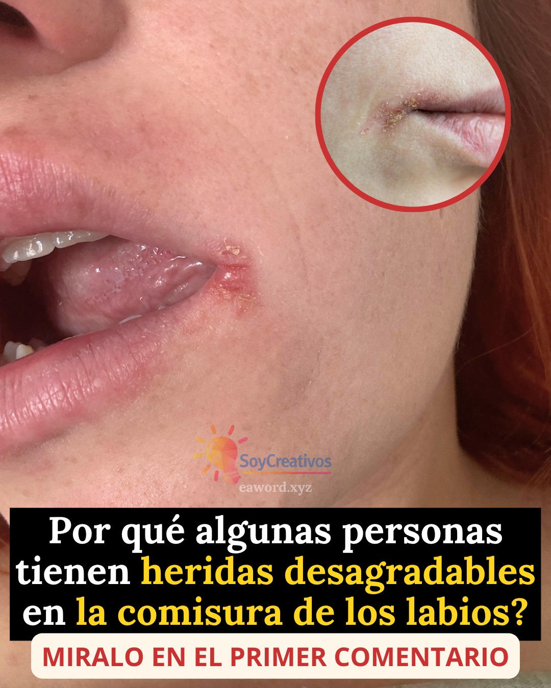 671631028 1514940503534820 4236001659850002962 n